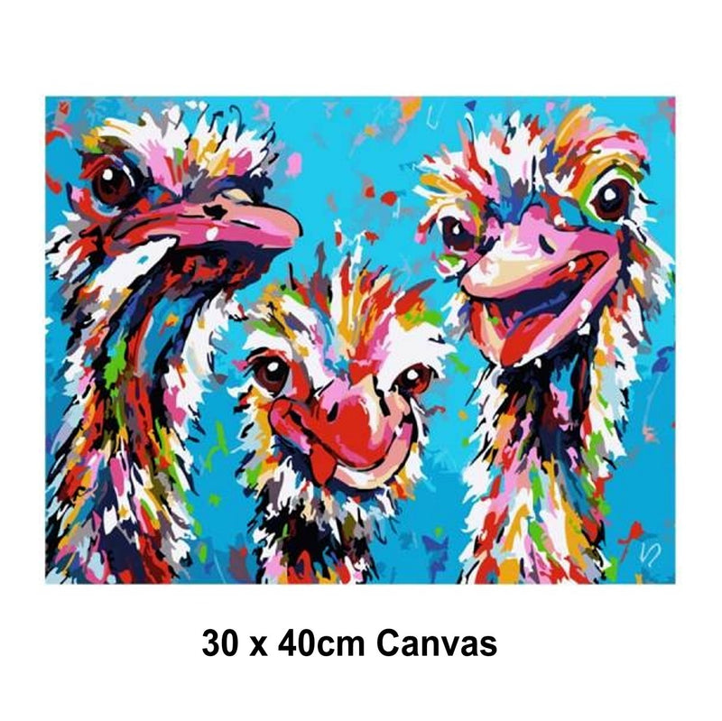 5D Picture DIY Paint by Numbers Craft Painting Kit 30x40 Canvas Colourful Ostriches