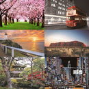 Enigma 1000 Piece Jigsaw Puzzle