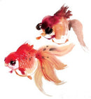 SpiceBox Chinese Brush Painting Art & Craft Kit