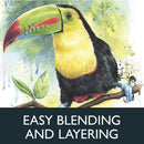 Derwent Watercolour Pencil Tin Set 36 Pack