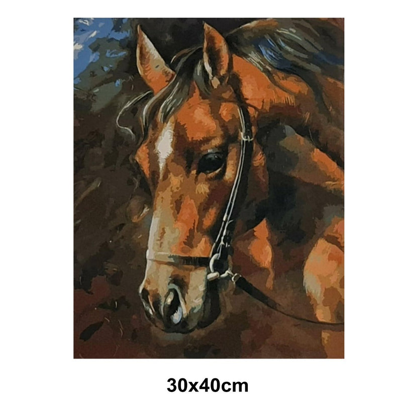 5D Picture 5D Diamond Art Painting 30x40cm Canvas Kit Horse Profile