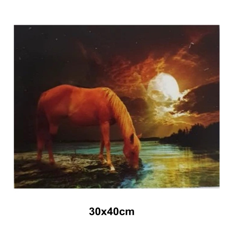 5D Picture 5D Diamond Art Painting 30x40cm Canvas Kit Night Horse