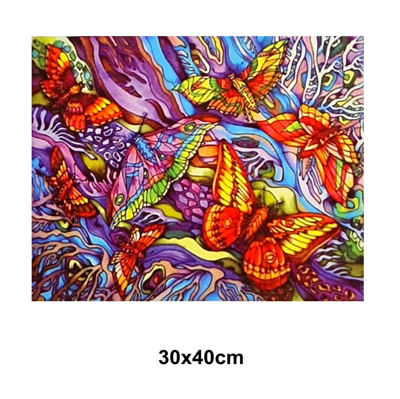 5D Picture 5D Diamond Art Painting 30x40cm Canvas Kit Colourful Butterflies