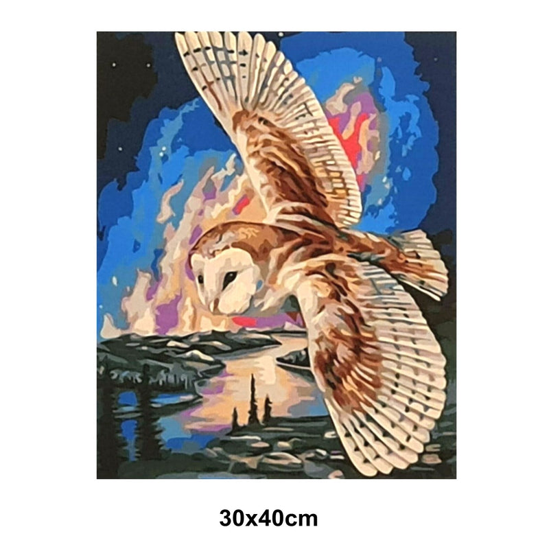 5D Picture 5D Diamond Art Painting 30x40cm Canvas Kit Flying Owl