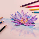 Pentel Pentel Arts 24pk Watercolour Pencils Bonus Water Brush