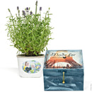 Marabu Marabu Photo Transfer Kit