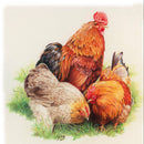 Derwent Derwent Coloursoft 72 Colouring Pencils Wooden Box Set Bonus DVD