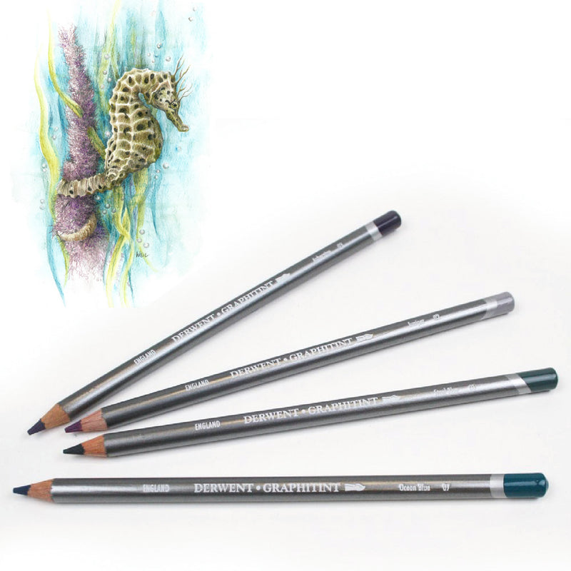 Derwent Derwent Graphitint Watercolour Graphite Pencils Set