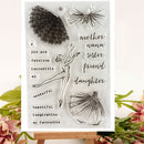 Kraft Collection Ballerina Dancer Clear Stamps Set