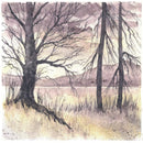 Derwent Derwent Graphitint Watercolour Paint 12 Pans Set