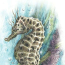 Derwent Derwent Inktense Watercolour Pencils in Tin Set