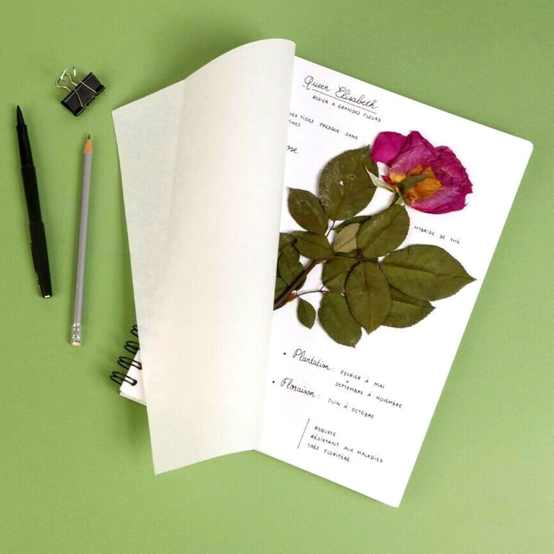 Clairefontaine Clairefontaine A4 Herbier Botanical Sketch Book 180gsm