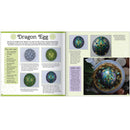 Hinkler Hinkler Metallic Rock Painting Kit