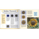 Hinkler Hinkler Metallic Rock Painting Kit