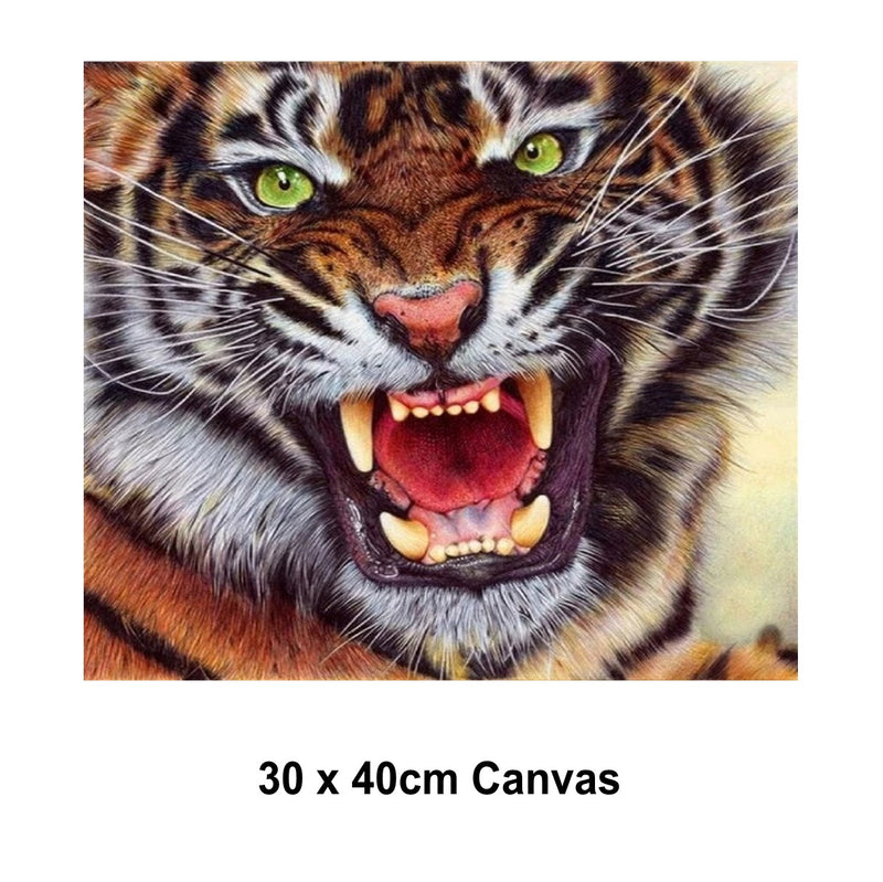 5D Picture DIY Paint by Numbers Craft Painting Kit 30x40 Canvas Angry Tiger
