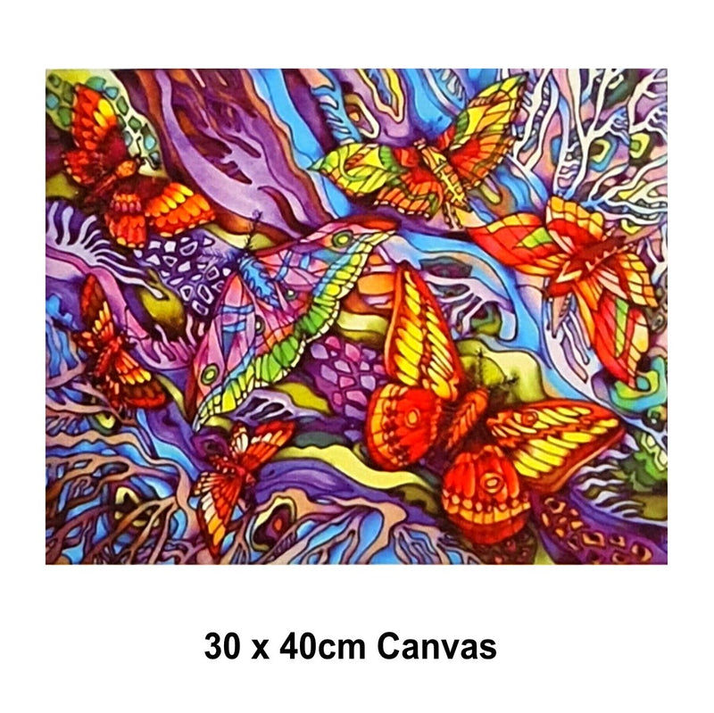 DIY Paint by Numbers Craft Painting Kit 30x40 Canvas Colourful Butterflies