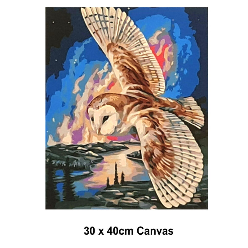 5D Picture DIY Paint by Numbers Craft Painting Kit 30x40 Canvas Flying Owl