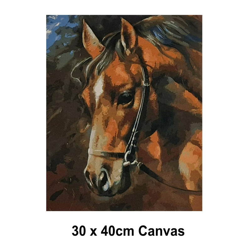 5D Picture DIY Paint by Numbers Craft Painting Kit 30x40 Canvas Horse Profile