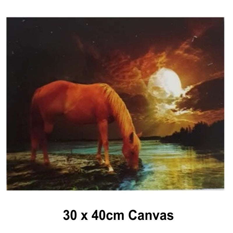5D Picture DIY Paint by Numbers Craft Painting Kit 30x40 Canvas Night Horse