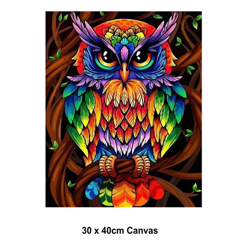 5D Picture DIY Paint by Numbers Craft Painting Kit 30x40 Canvas Colourful Owl